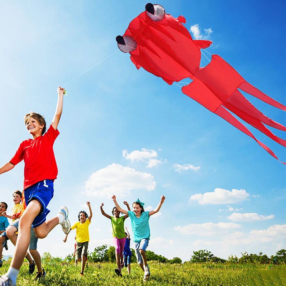 3D Kite For Kids And Adults Huge Frameless Soft Parafoil