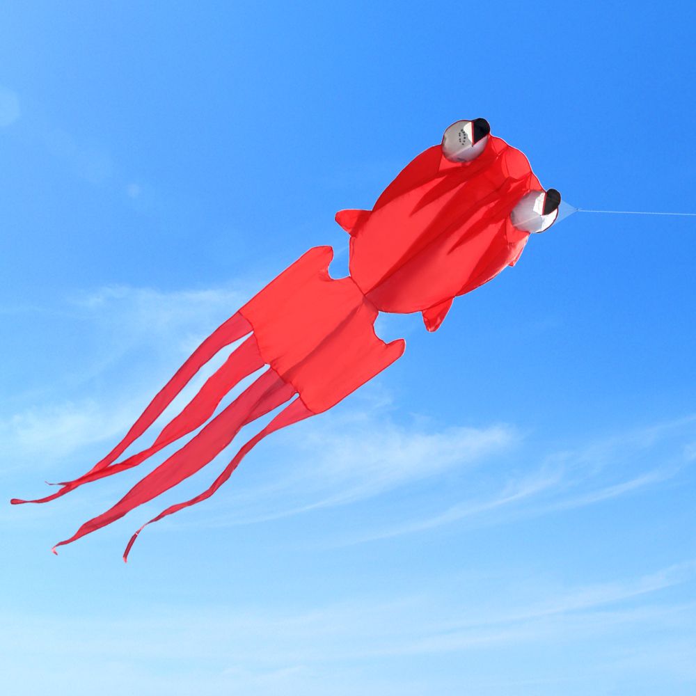3D Kite For Kids And Adults Huge Frameless Soft Parafoil