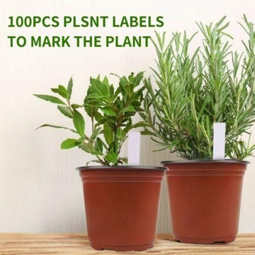 100 Pcs 6Inch Plastic Plants Pots Nursery Pots