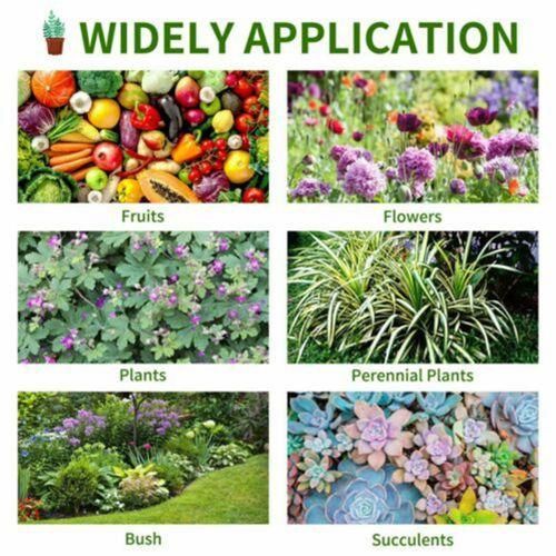 100 Pcs 6Inch Plastic Plants Pots Nursery Pots