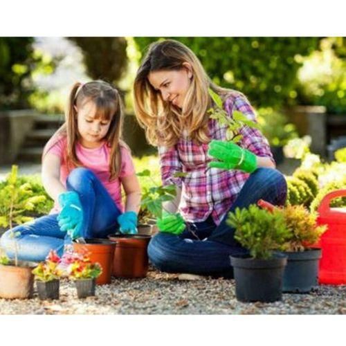 100 Pcs 6Inch Plastic Plants Pots Nursery Pots