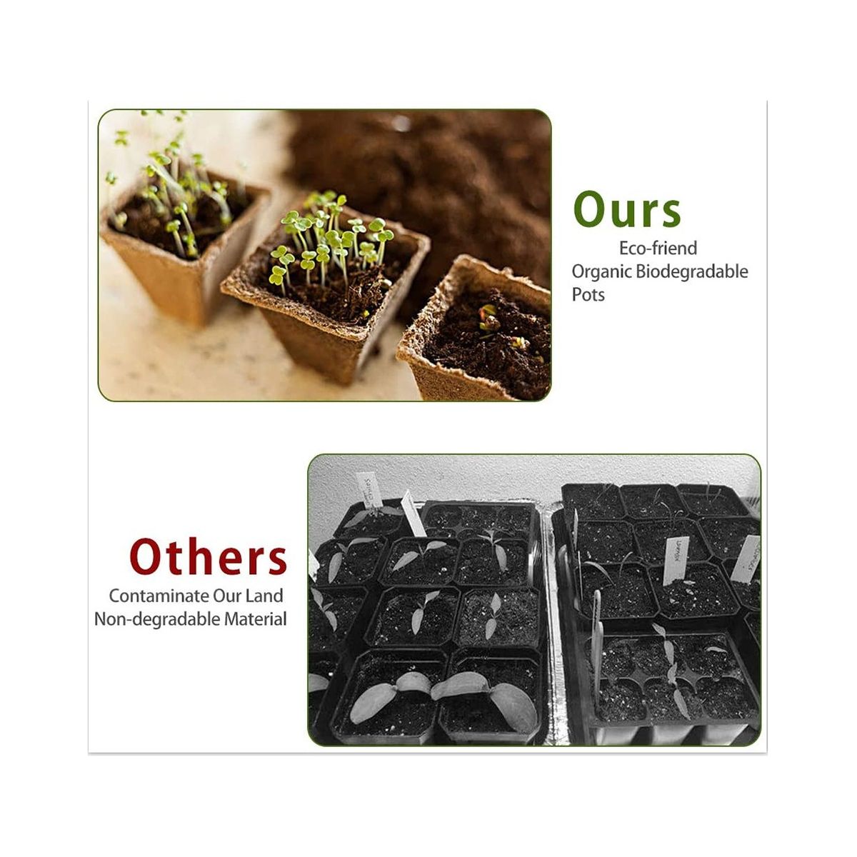 120Cells ling Startup Tray with Drainage Holes is Biodegradable ling Kit Tray