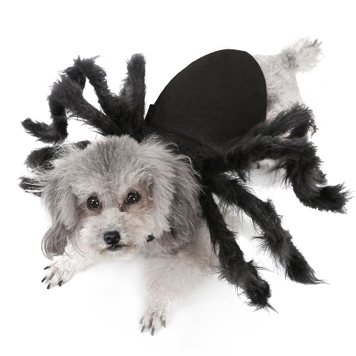 Halloween Dogs Cats Spider Costume Pet Party Outfits For