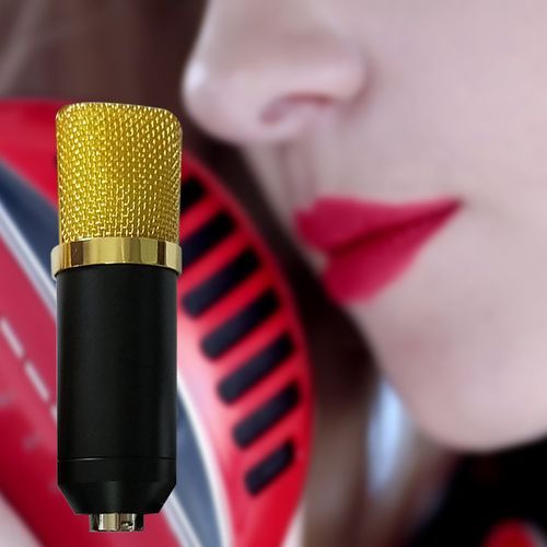 TB C-800A Professional Studio Broadcasting Recording Set Condenser Microphone Black