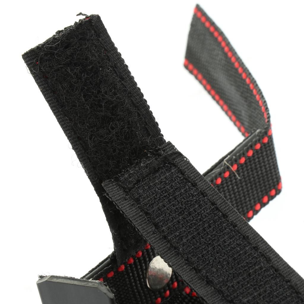 For Pinscher Dog Samoyed German