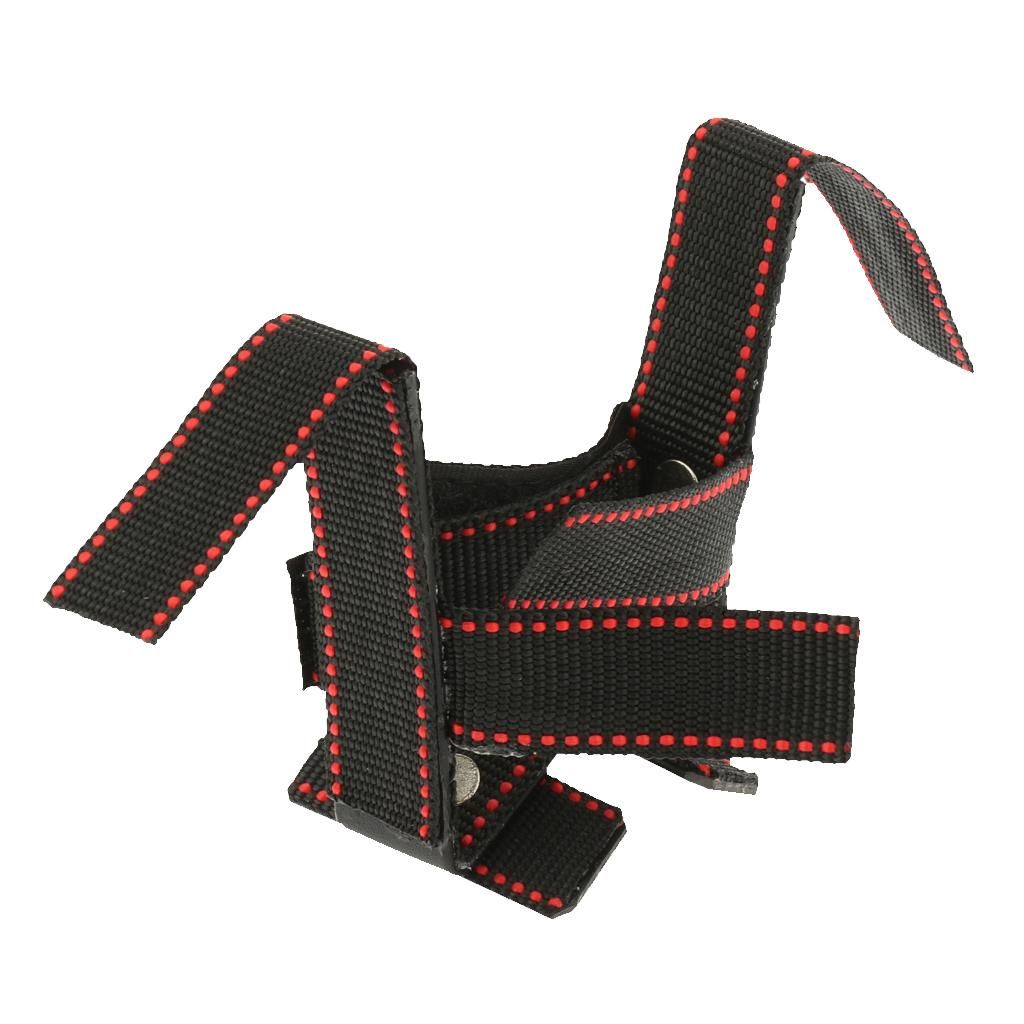For Pinscher Dog Samoyed German