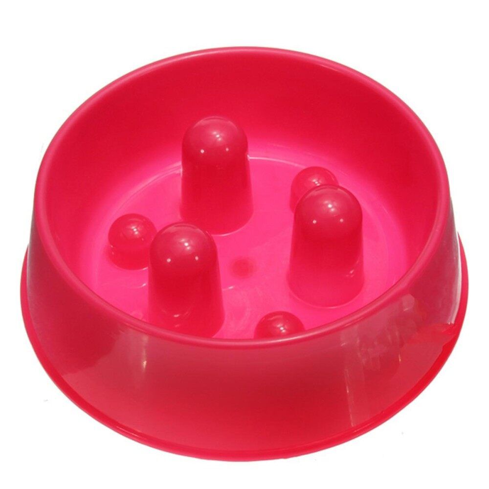 New Pet Dog Cat Puppy Anti-Gulping Slow Down Food Water Eating Bowl Feeder Dish