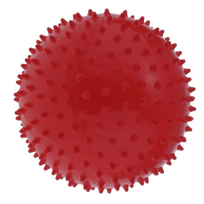 2Pcs 9" Yoga  Balls Sensory Inflatable Ball Kids Adults Fitness