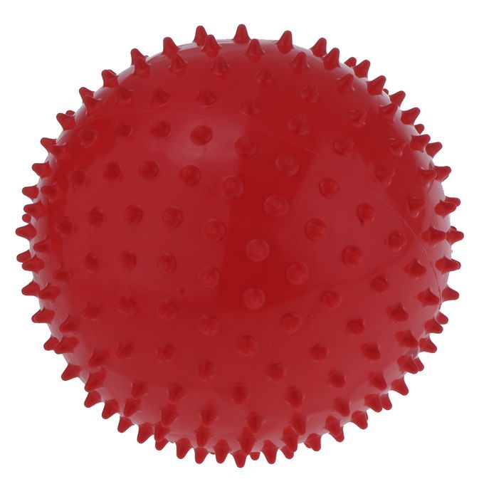 2Pcs 9" Yoga  Balls Sensory Inflatable Ball Kids Adults Fitness