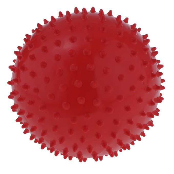 2Pcs 9" Yoga  Balls Sensory Inflatable Ball Kids Adults Fitness
