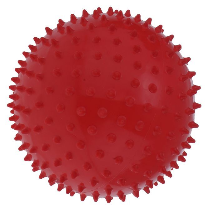 2Pcs 9" Yoga  Balls Sensory Inflatable Ball Kids Adults Fitness