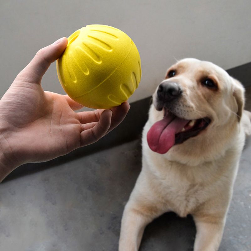 1Pc Interactive Dog Chew Toy Durable EVA Rope Ball Disc Flyer Tug Toy For Fetch Throwing Retrieving At The Beach Lake Pool-Elastic Rope