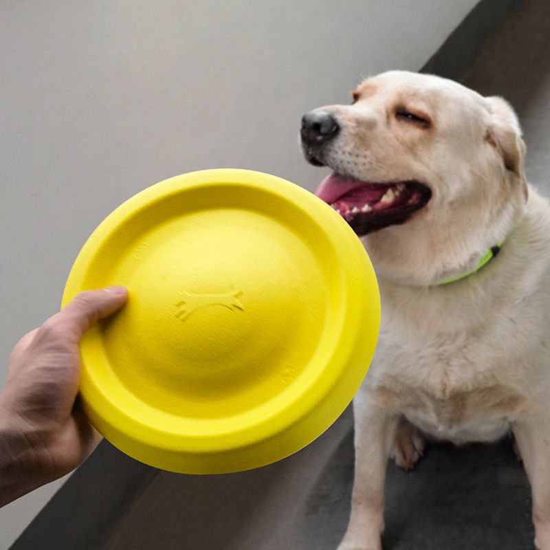 1Pc Interactive Dog Chew Toy Durable EVA Rope Ball Disc Flyer Tug Toy For Fetch Throwing Retrieving At The Beach Lake Pool-Elastic Rope