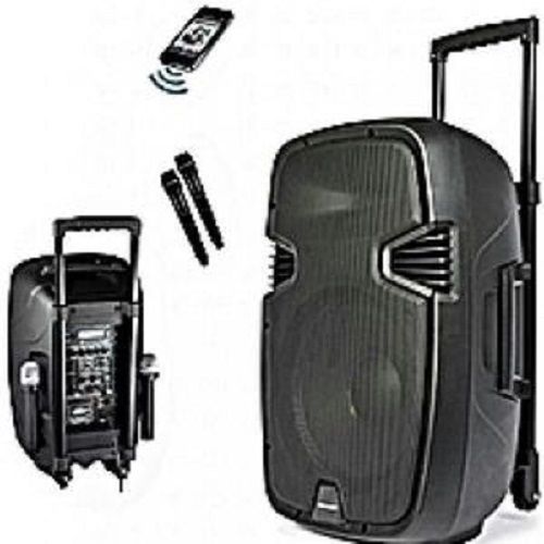 15'' Bluetooth Rechargeable Public Address System With 2 Wireless Microphones, FM Radio,USB Port,SD Port