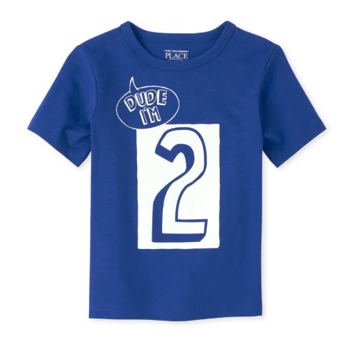 Boys Dude I'm  2- 2nd Birthday Number Tshirt - Mazarine Blue