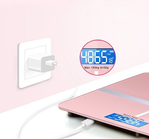 Digital Body Fat Weight Scale Bluetooth USB Scale
