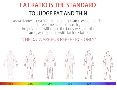 Digital Body Fat Weight Scale Bluetooth USB Scale