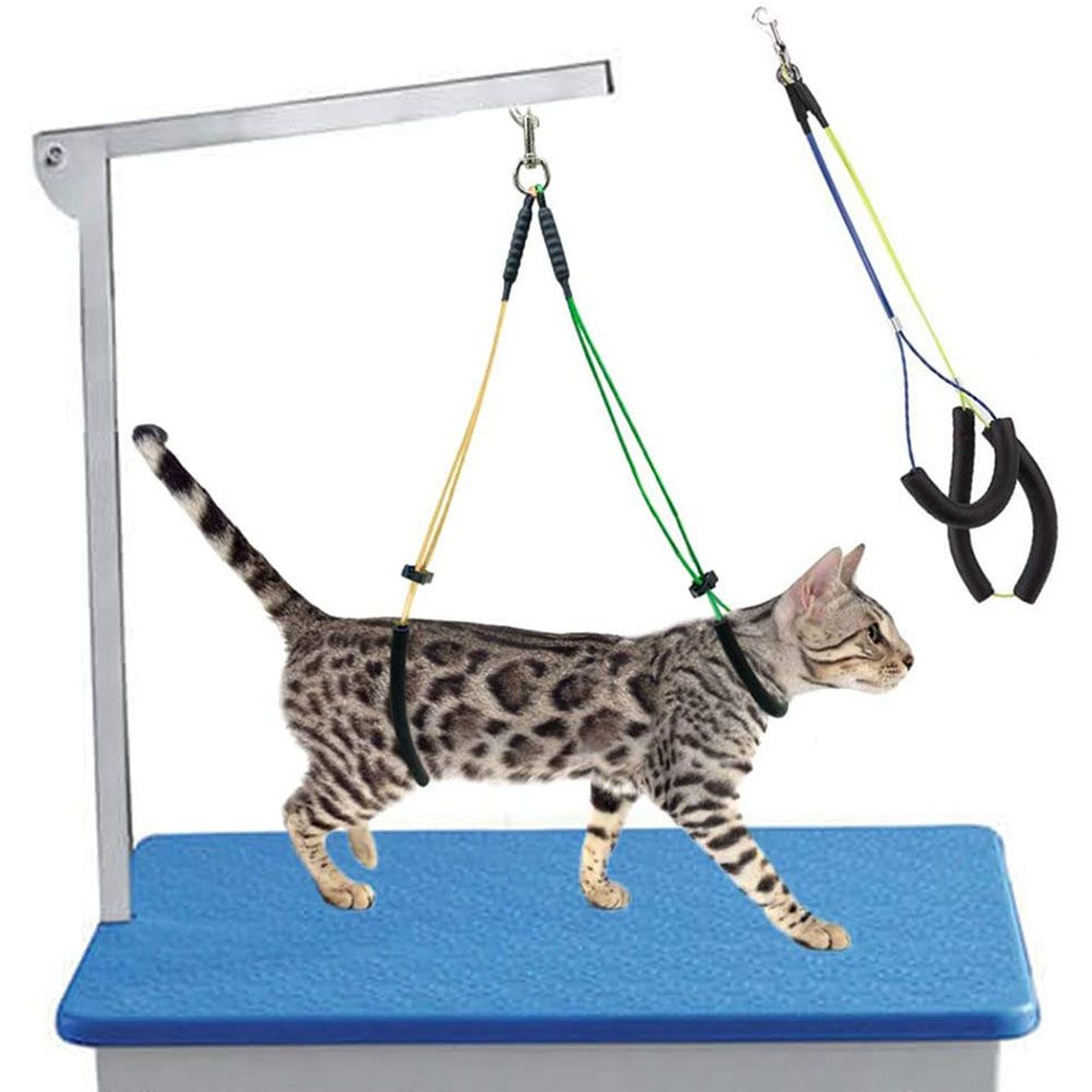 Pet Grooming Supplies Dog Cat Standing Training No-Sit Pet Haunch Holder Restraint Loop Table Adjustable Pet Grooming Leash Loop-blue Yellow