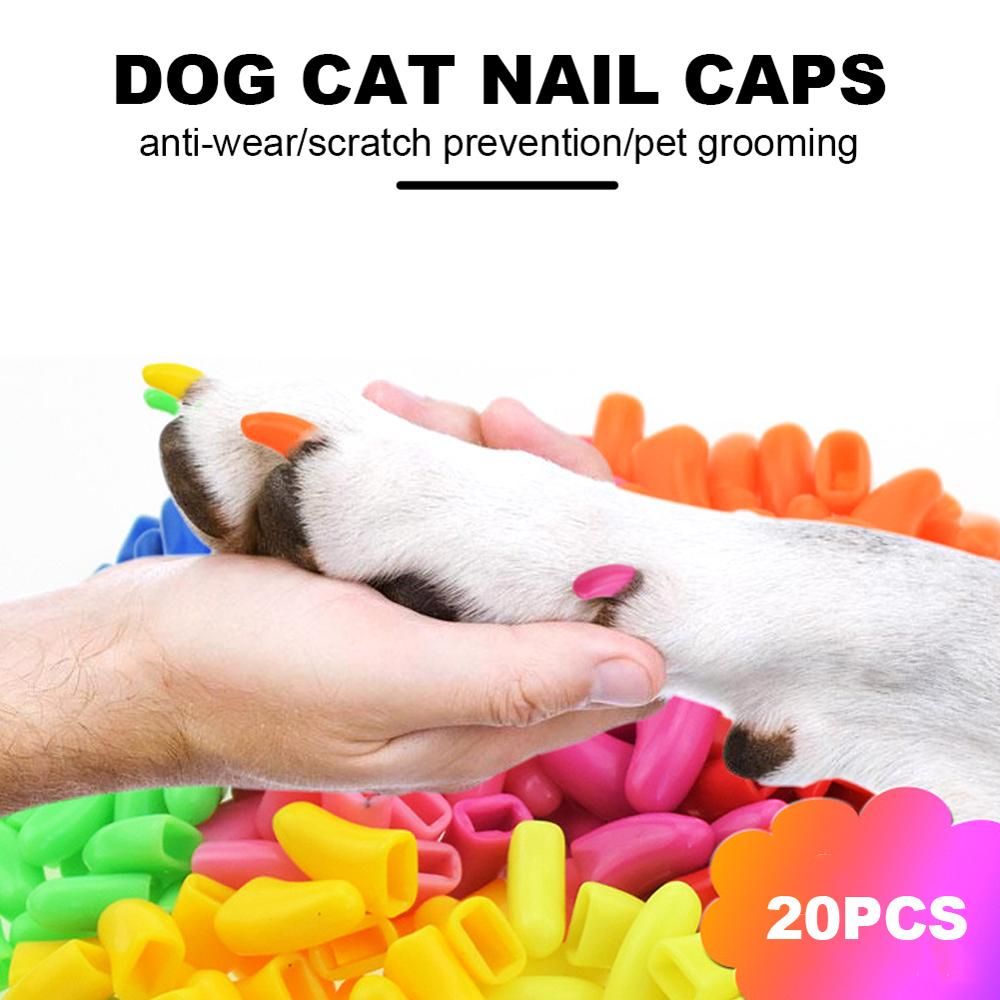 20 Pcs Dog Cat Nail Caps Soft Silicone Anti-scratch Paw Nail Cover Puppy Claw Grooming Manicure Dog Cat Nairooming Supplies-1