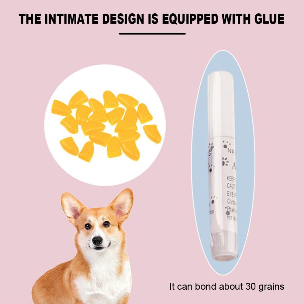 20 Pcs Dog Cat Nail Caps Soft Silicone Anti-scratch Paw Nail Cover Puppy Claw Grooming Manicure Dog Cat Nairooming Supplies-1