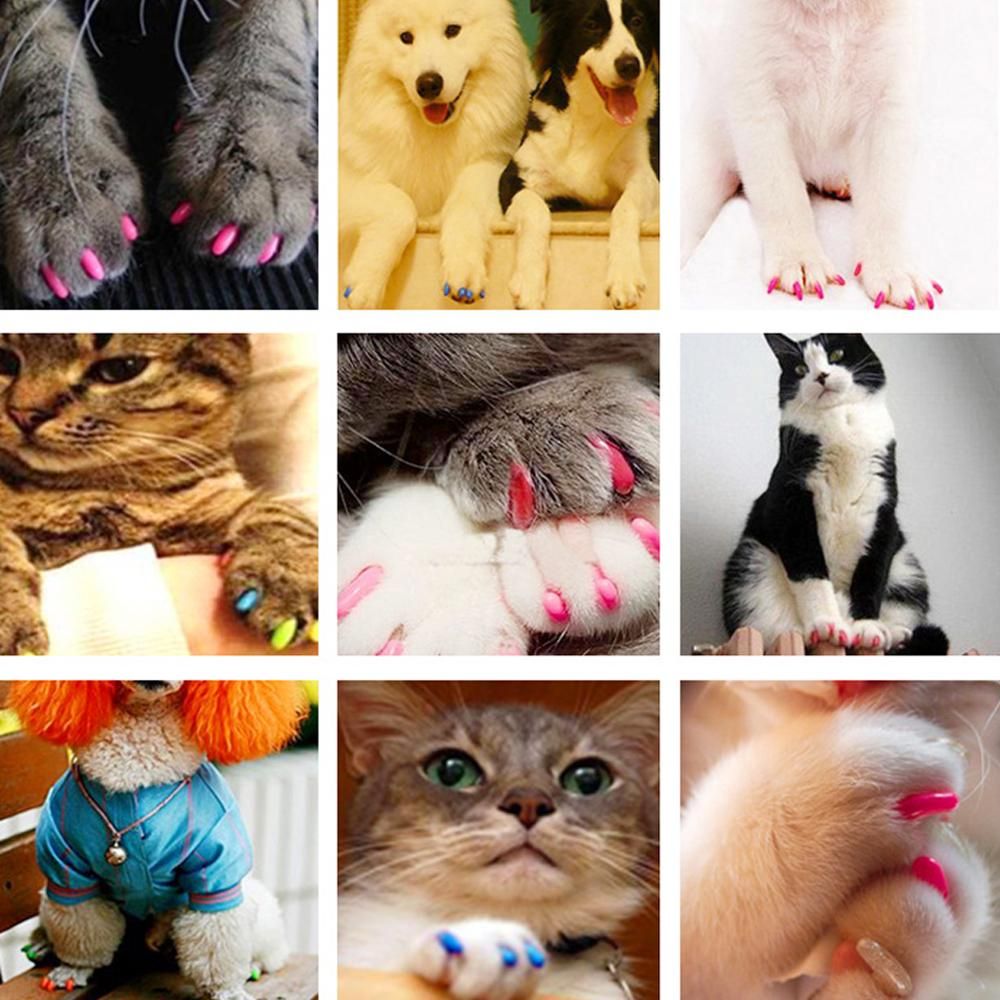 20 Pcs Dog Cat Nail Caps Soft Silicone Anti-scratch Paw Nail Cover Puppy Claw Grooming Manicure Dog Cat Nairooming Supplies-1