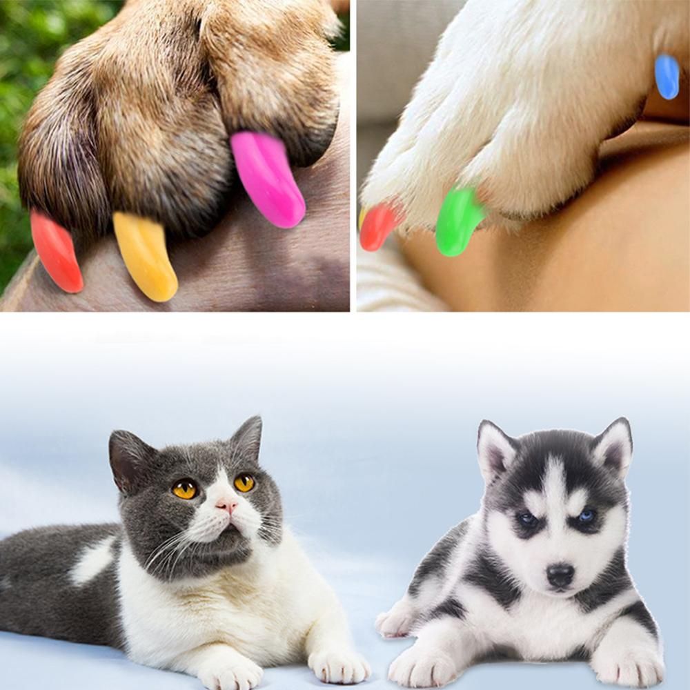 20 Pcs Dog Cat Nail Caps Soft Silicone Anti-scratch Paw Nail Cover Puppy Claw Grooming Manicure Dog Cat Nairooming Supplies-1
