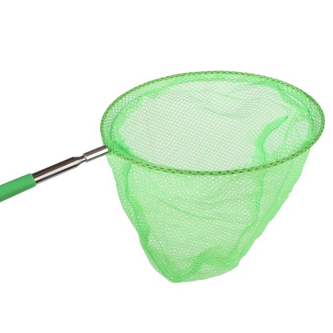 Kids Telescopic Butterfly  Nets Catching Insects Bugs   Green