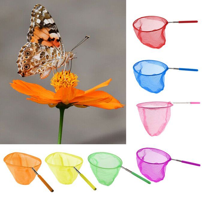 Kids Telescopic Butterfly  Nets Catching Insects Bugs   Green