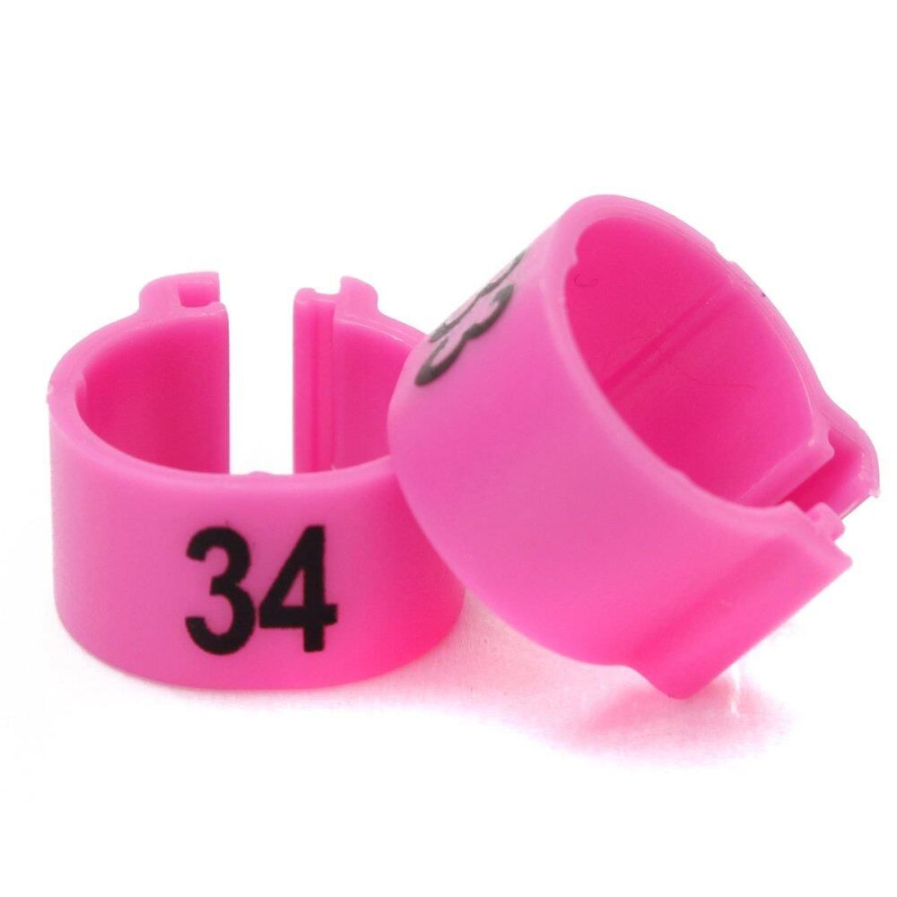 100Pcs Poultry Leg Pigeon Parrot Chicks Duck Hen Rings Clip 1-100 Numbered Pink (Intl) Powder