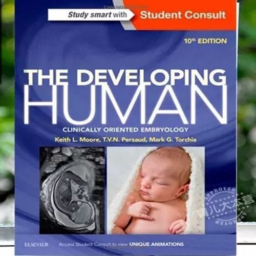 The Developing Human: Clinically Oriented Embryology