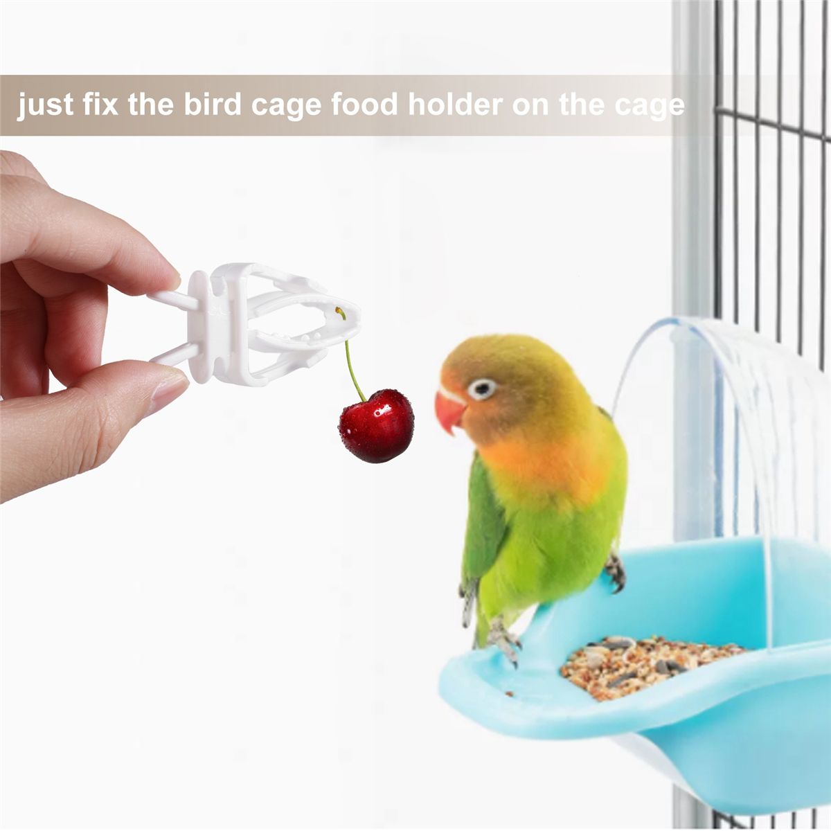 6Pcs Vegetable Clip for Birds Bird Cage Feeder for Parrot Ve