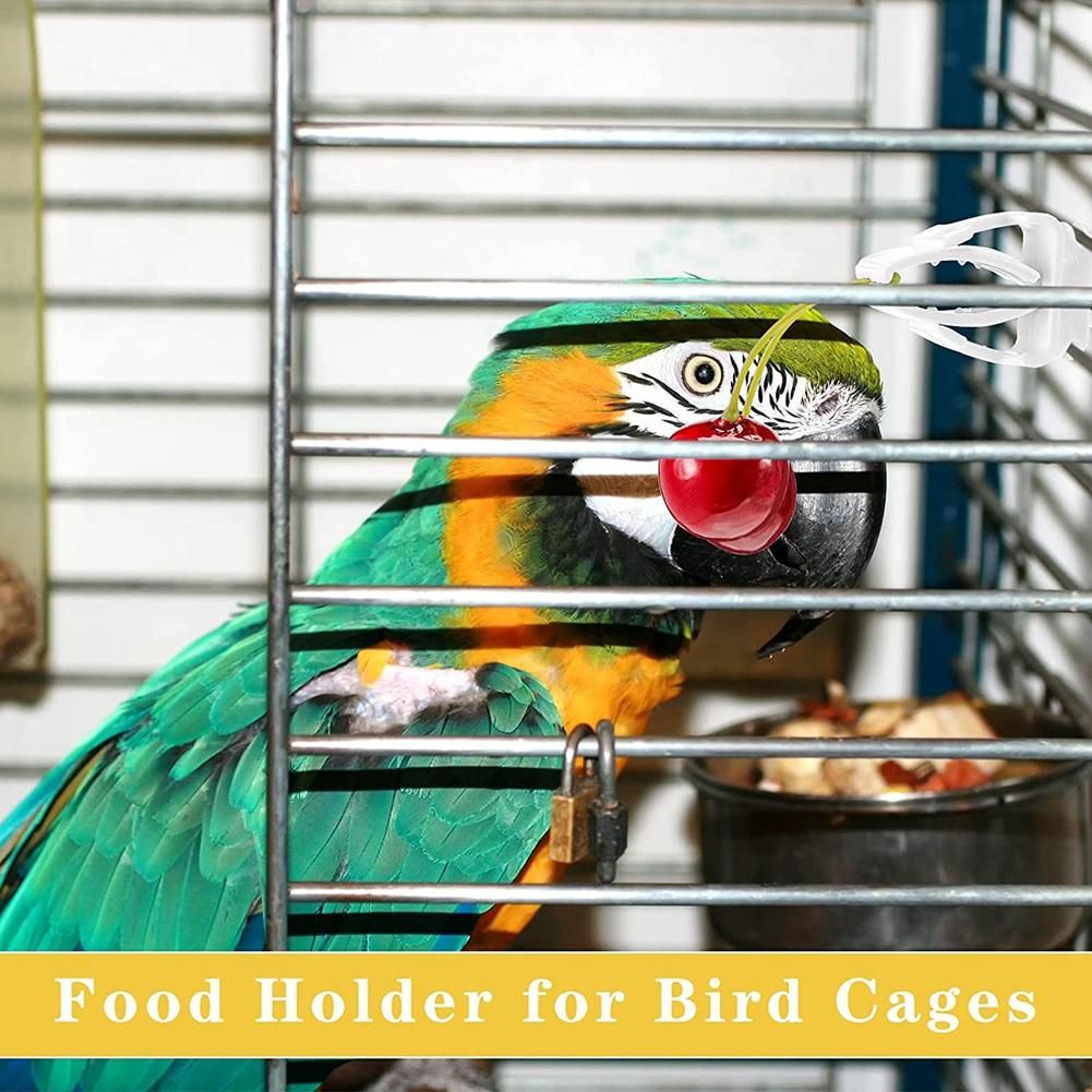 6Pcs Vegetable Clip for Birds Bird Cage Feeder for Parrot