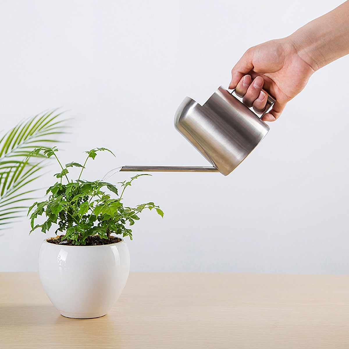 Long Nozzle Watering Stainless Steel Mini Watering Long for Plants Silver