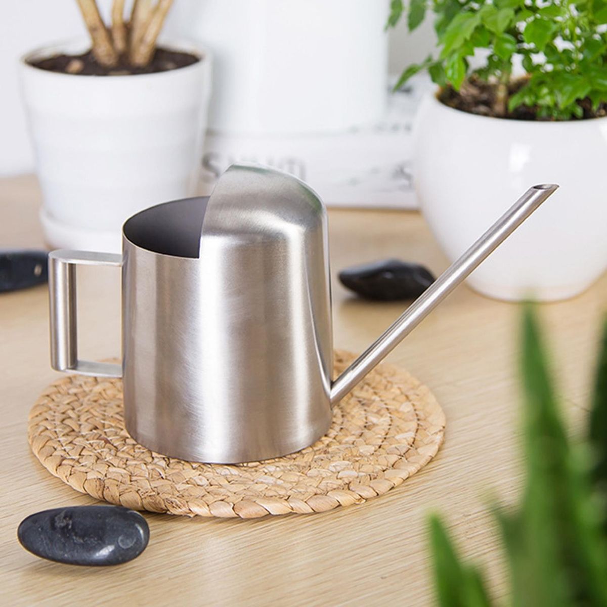 Long Nozzle Watering Stainless Steel Mini Watering Long for Plants Silver