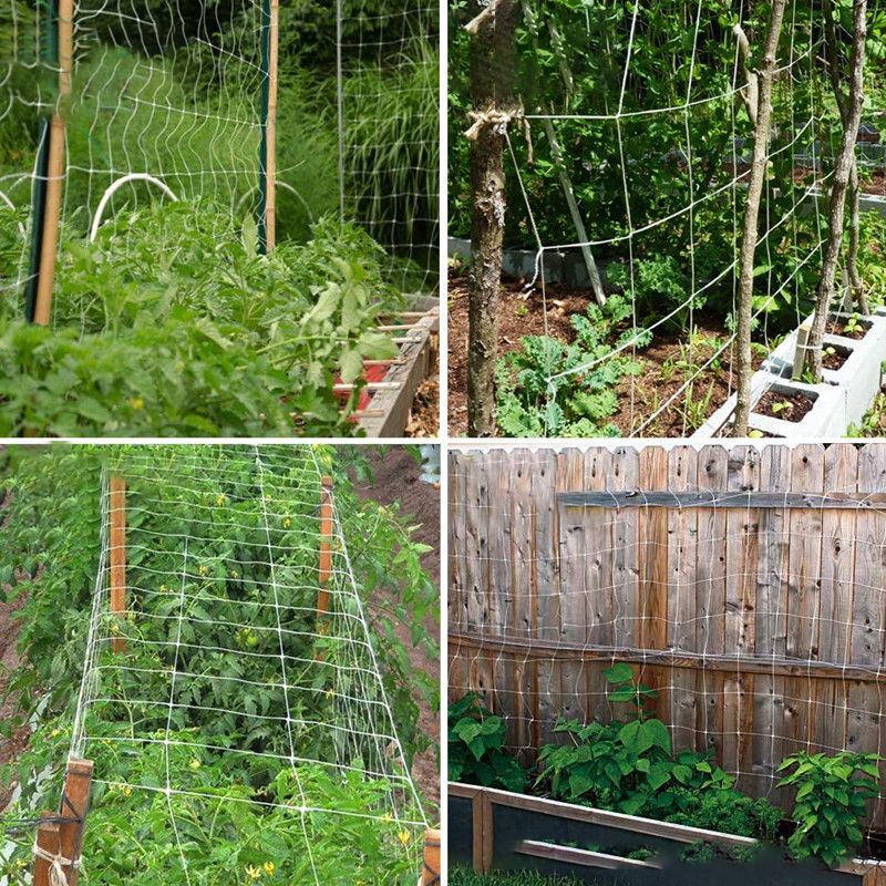 Plant Climbing Net Garden Vine Netting Support Mesh Cucumber Morning Glory Flower Grow