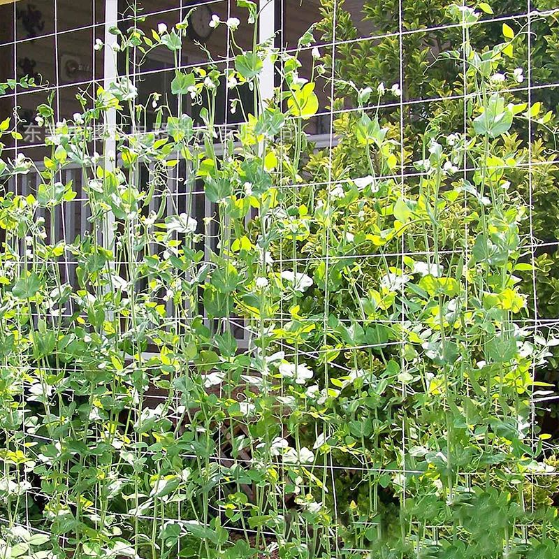 Plant Climbing Net Garden Vine Netting Support Mesh Cucumber Morning Glory Flower Grow