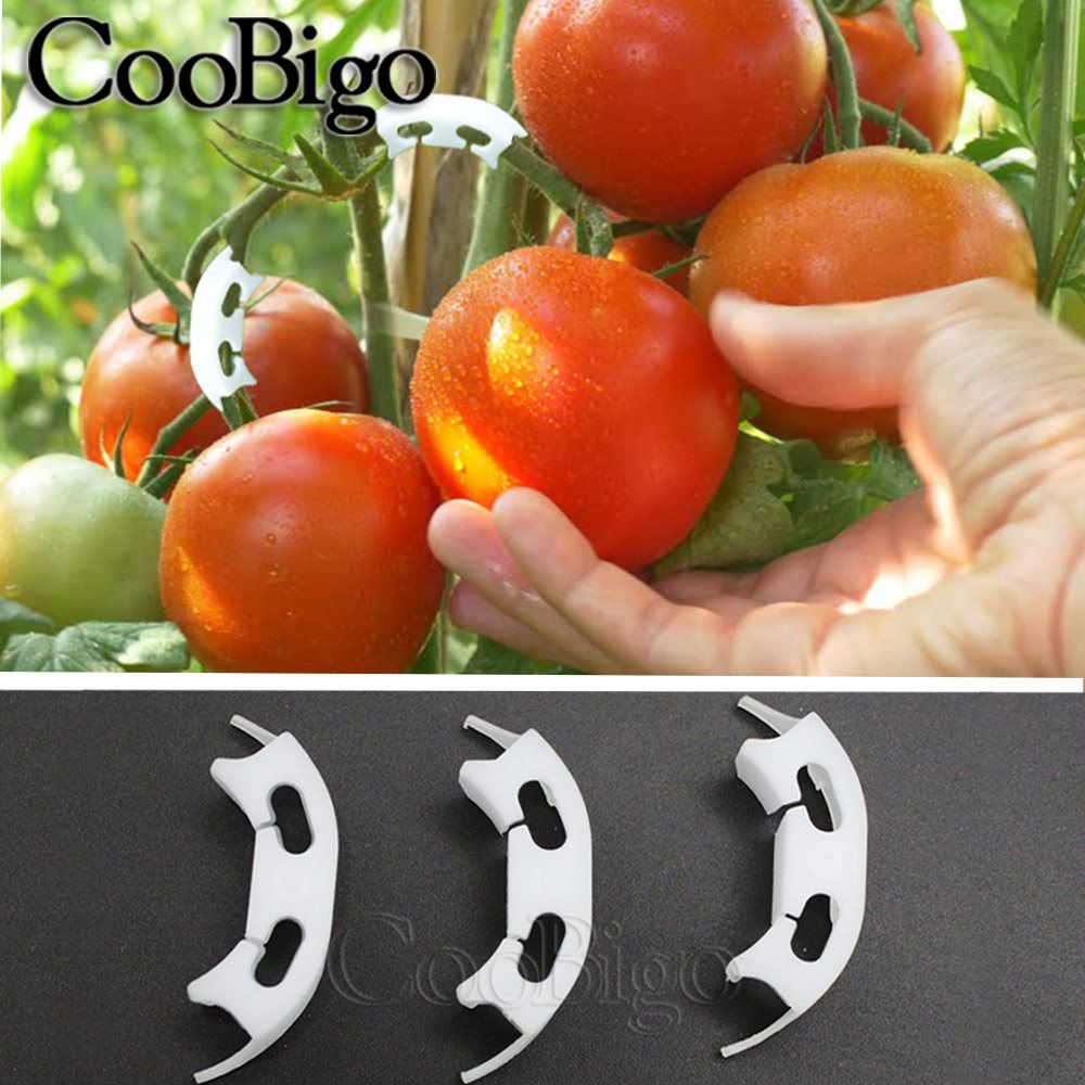 50pcs Plant Vine Seedling Tomato Fixed Clips Branches Bender Plants Support Clip