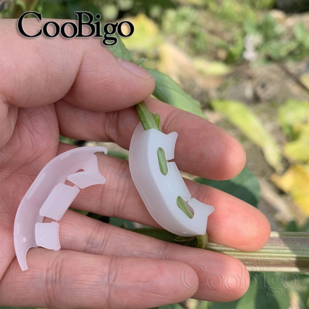 50pcs Plant Vine Seedling Tomato Fixed Clips Branches Bender Plants Support Clip