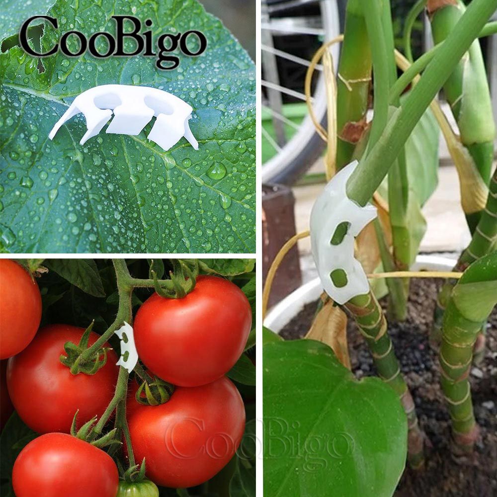 50pcs Plant Vine Seedling Tomato Fixed Clips Branches Bender Plants Support Clip