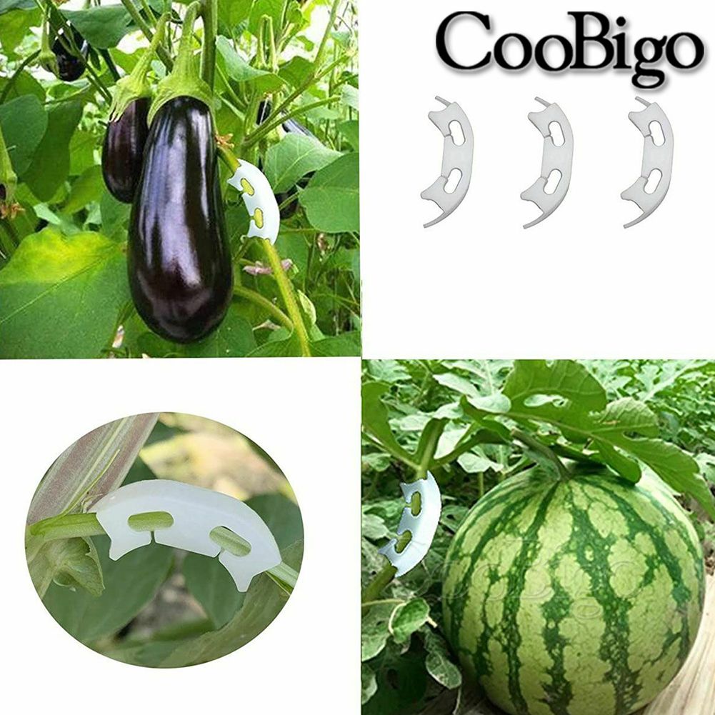 50pcs Plant Vine Seedling Tomato Fixed Clips Branches Bender Plants Support Clip