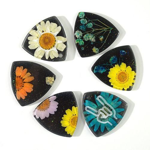 Guitar Pick Mould,Exquisite Resin Mold For Guitar