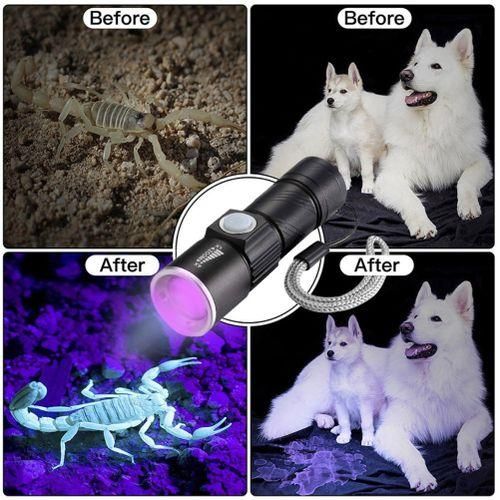 395Nm UV Light Flashlight Blacklight USB Rechargeable LED
