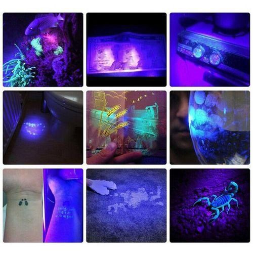 395Nm UV Light Flashlight Blacklight USB Rechargeable LED