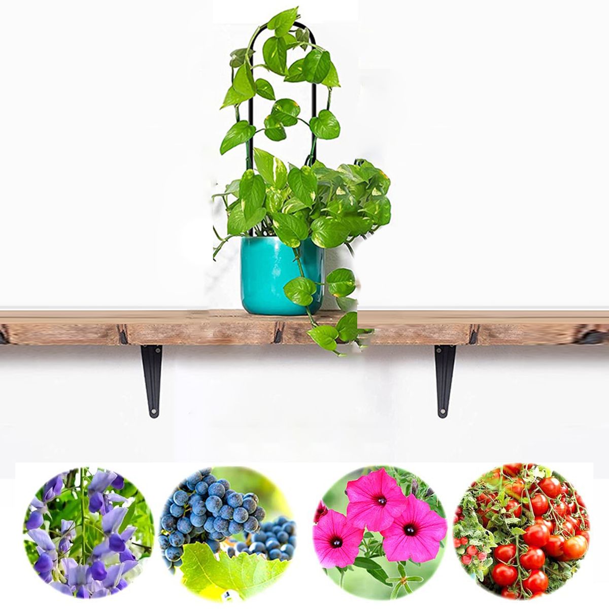 Metal Plant Trellis Support Stand Decorative Plants Climbing Holder Rack For Potted-A