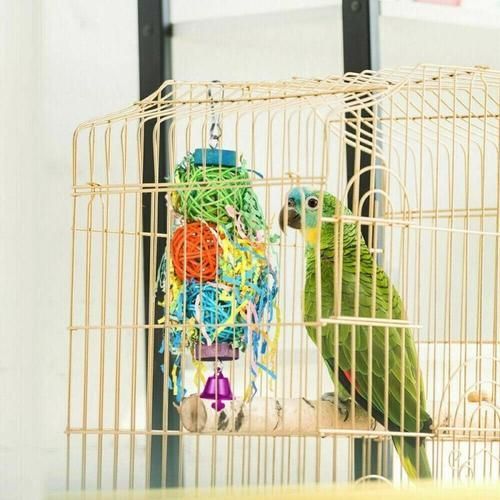 3 Pcs Parrot Bird Chew Cage Bite Haging Strip Woven Gass Foraging Cockatiel Toys