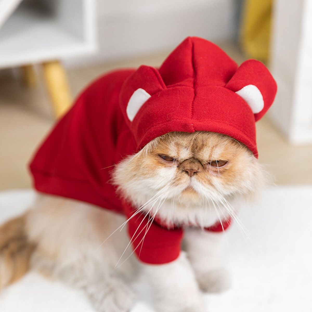 Pet Sweatshirt Bear Ear Cat Dog Hooded Two-legged Pullover Purplish Red