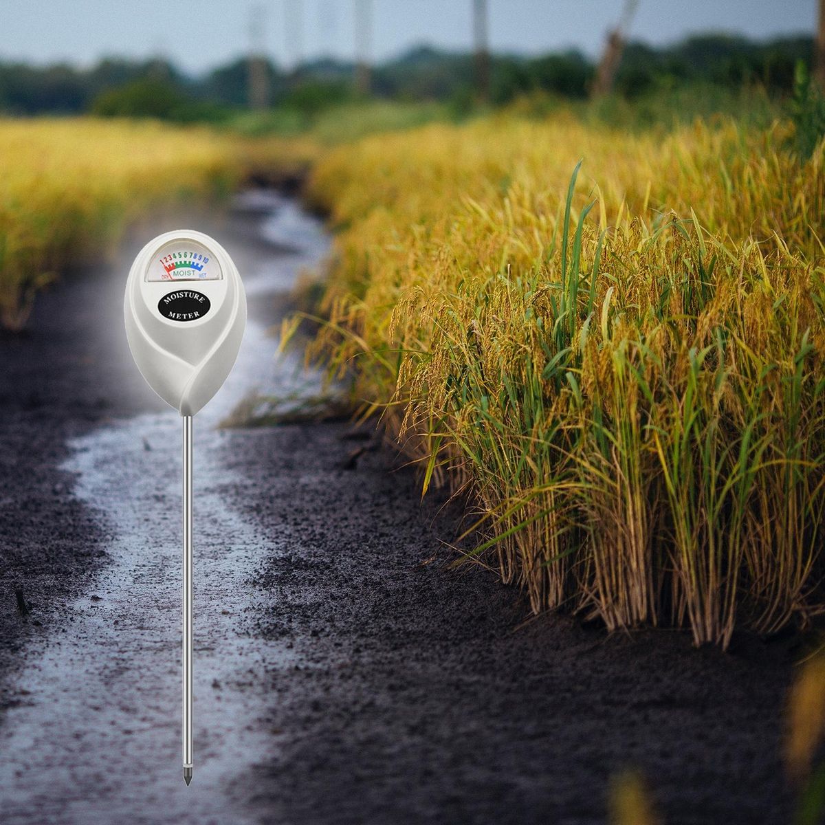 Lawn Moisture Meter Premium Stainless Steel Soil Moisture for Indoor White