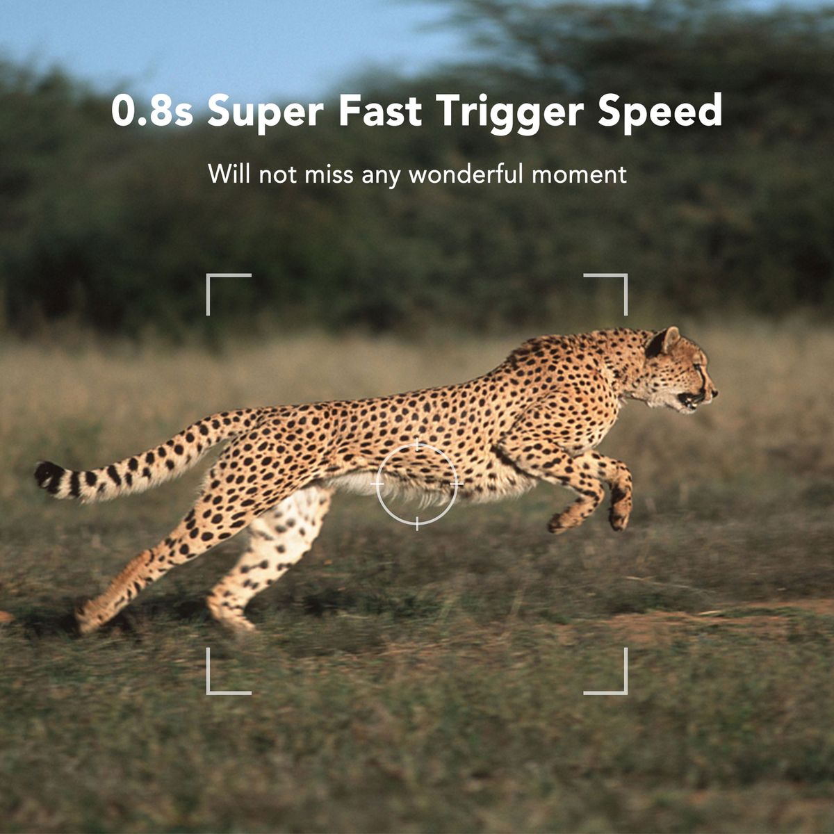 16MP 1080P Trail Camera Hunting Game Camera Outdoor Wildlife