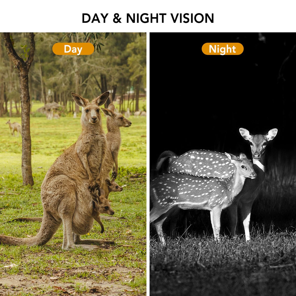 16MP 1080P Trail Camera Hunting Game Camera Outdoor Wildlife