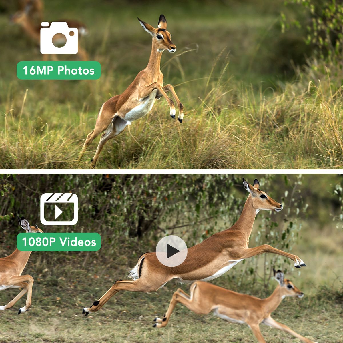 16MP 1080P Trail Camera Hunting Game Camera Outdoor Wildlife